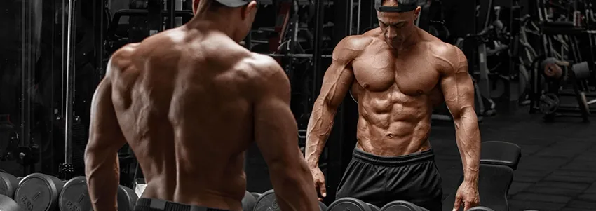 What You’ll Get with Our Bodybuilding Coaching: